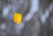 Wetter in Brandenburg - Patrick Pleul/dpa