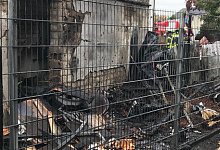 screenshot-2025-10-21-at-16-19-16-instagram - 1 - Feuerwehr Versmold/Instagram