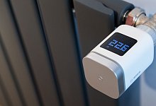 urn:newsml:dpa.com:20090101:251111-935-948059 - Franziska Gabbert/dpa-tmn