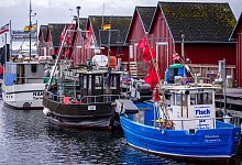 Vor dem Treffen zu neuen Fischfangmengen - Jens Büttner/dpa Vor dem Treffen zu neuen Fischfangmengen - Jens Büttner/dpa
