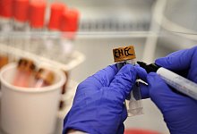 Ehec-Bakterien - Christian Charisius/dpa