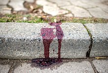 Femizide - Hauke-Christian Dittrich/dpa