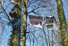 Extinction Rebellion besetzt den Storck-Wald - Ekkehard Hufendiek