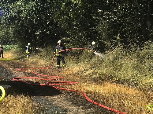 Neben der Feuerwehr Borgholzhausen halfen Einsatzkräfte aus Versmold und Halle bei der Brandbekämpfung. - © Anke Schneider