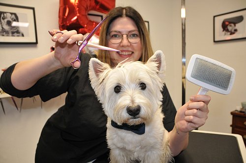 Hundefriseurin Eliza Ciurkot betreibt in Steinhagen den Salon Pfotentreff und hat gut zu tun. - © Frank Jasper
