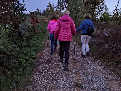 Wegen des gerölligen Untergrunds ist gutes Schuhwerk Pflicht. Manche haben auch Nordic-Walking-Stöcke dabei. - © Anja Hanneforth
