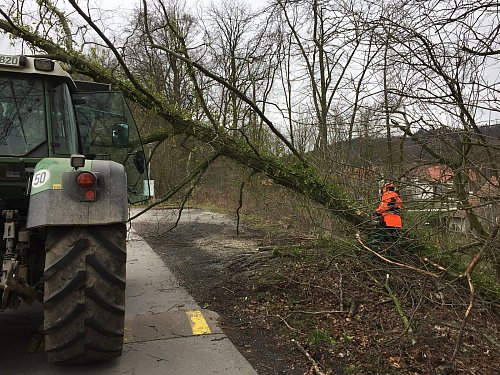 Ein vom Sturm gefällter Baum blockierte am Samstag zeitweise eine Straße an der Waldheimat. - © Jürgen Blomeier