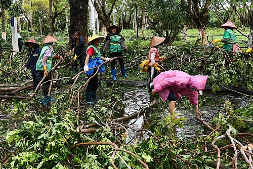 Hunderttausende Bäume wurden den Angaben zufolge entwurzelt. - © Yang Guanyu/Xinhua/AP/dpa