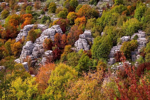 Im Frühjahr ist das Wetter angenehm für eine Wanderung - oder im Herbst, wenn tolle Farben hinzukommen. - © Luisa Heyer/dpa-tmn