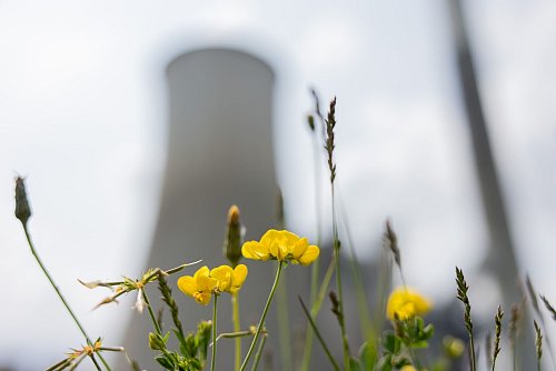 Einst großer Kraftwerksstandort - in Zukunft Digitalpark: In Frimmersdorf beginnt demnächst der Rückbau stillgelegter Kraftwerksblöcke. - © Rolf Vennenbernd/dpa