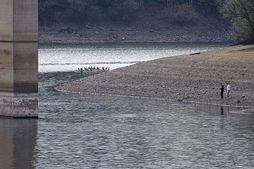 Die Wuppertalsperre ist von einer langen Trockenphase sichtlich gezeichnet. - © Henning Kaiser/dpa