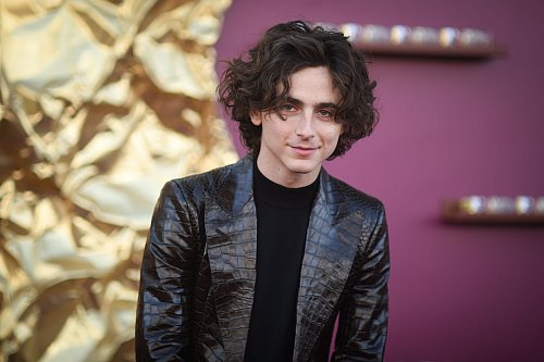 Kommt Timothée Chalamet mit dem Biopic zu Bob Dylan zur Berlinale? (Archivbild) - © Richard Shotwell/Invision/AP/dpa