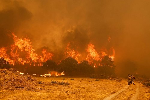 Die Brandbekämpfer sehen sich teilweise mit riesigen Feuerwänden konfrontiert, die durch stürmische Winde jederzeit schnell die Richtung ändern können. - © Lalo R. Villar/AP/dpa