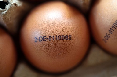Mit dem Eier-Code lassen sich EU-weit Haltungsform, Herkunftsland und der jeweilige landwirtschaftliche Betrieb inklusive Stall ablesen. Die 2 steht für Bodenhaltung. - © Jens Büttner/dpa/dpa-tmn