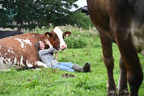 Zum Kuscheln auf die Weide, besser in Gummistiefeln. - © David Hammersen/dpa
