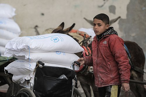 UNRWA verteilt Lebensmittel und betreibt Schulen und Kliniken. (Archivbild) - © Mohammed Talatene/dpa