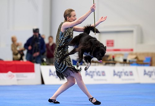 Es kann auch akrobatisch zugehen. - © Bernd Thissen/dpa
