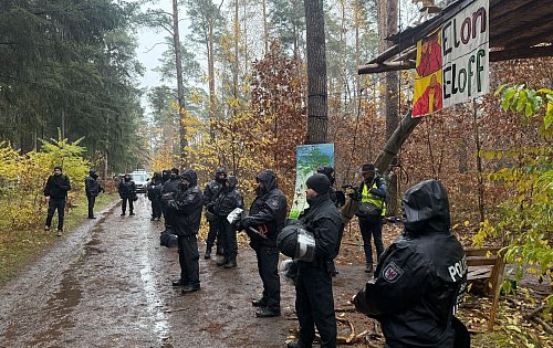 Die Polizei im Brandenburg entschied, die Besetzung des Waldstücks nahe der Tesla-Fabrik in Grünheide zu beenden. Seit Ende Februar protestieren dort Tesla-Gegner. - © Lutz Deckwerth/dpa