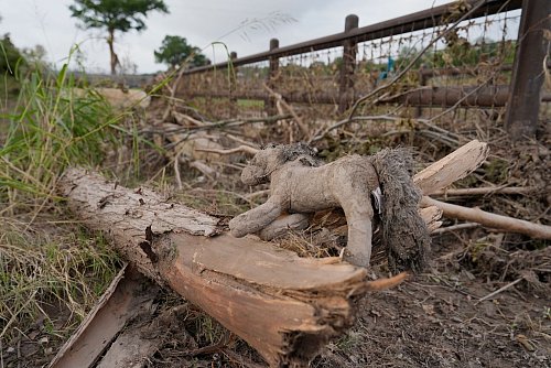 Unter den Toten sind auch zahlreiche Kinder. - © Ashley Landis/AP/dpa