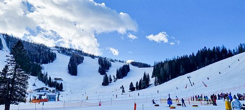 Auch von der Skischule aus hat man das Ziel vor Augen: Irgendwann soll\\\'s auf eine der «richtigen» Pisten gehen. - © Bettina Lüke/dpa-tmn