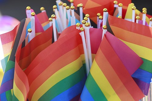 Regenbogenfahnen - Symbol der Community - auf einem Christopher Street Day. (Archivbild) - © Matthias Bein/dpa