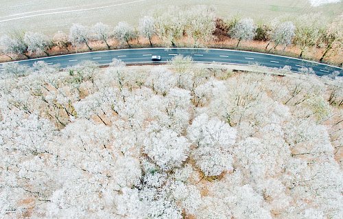 Winter-Wunderland? Ja, sicher - aber die kalte Jahreszeit kann auch schwierige Straßenverhältnisse mit sich bringen und der Autobatterie zusetzen. - © Julian Stratenschulte/dpa/dpa-tmn
