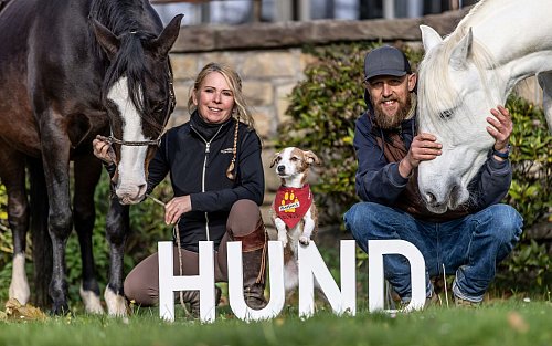 Bei der Messe geht es thematisch auch um Gesundheit und Pflege der Tiere - © Dieter Menne/dpa