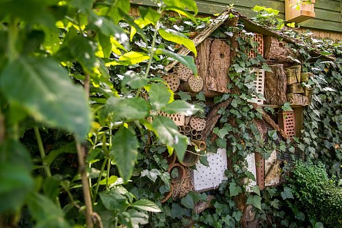 Ein Insektenhotel bietet Sechsbeinern eine trockene, geschützte Möglichkeit zum Überwintern. - © Benjamin Nolte/dpa-tmn