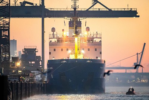 Das Spezialschiff «Pacific Grebe» mit sieben Castor-Behältern an Bord legt in der Morgendämmerung im Hafen an. - © Sina Schuldt/dpa