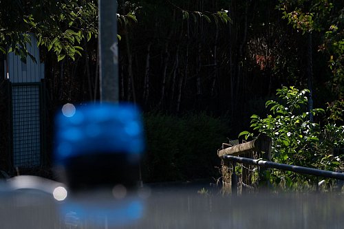 Die Leiche war stark verwest. - © Markus Lenhardt/dpa