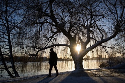 Ein Spaziergang bringt uns in Schwung - und auch unsere Verdauung. - © Christian Charisius/dpa/dpa-tmn