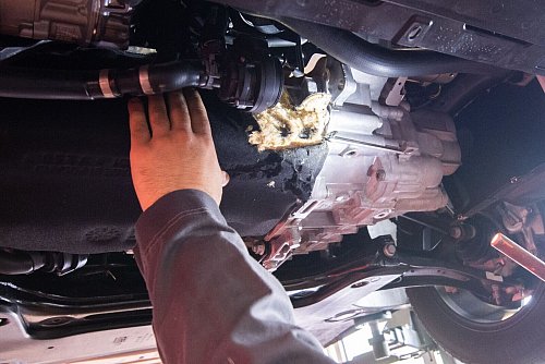 Sieht stark nach Marderbesuch aus. Angefressene Schläuche und Abdeckungen sind stumme Zeugen des nächtlichen Marderwütens im Auto. - © Julian Stratenschulte/dpa/dpa-tmn