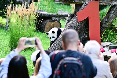 Die Geburt der beiden war ein seltenes Ereignis. - © Sebastian Christoph Gollnow/dpa