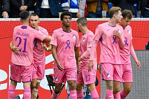 Hoffenheims Tim Lemperle (2.v.l.) darf sich gratulieren lassen. - © Uwe Anspach/dpa