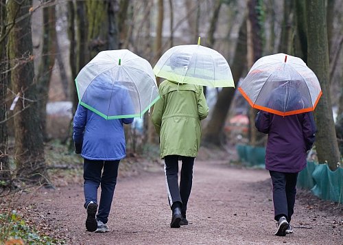 Verdauungsspaziergang - auch bei Schmuddelwetter: Bewegung lässt uns in der Vorweihnachtszeit besser fühlen. - © Marcus Brandt/dpa/dpa-tmn