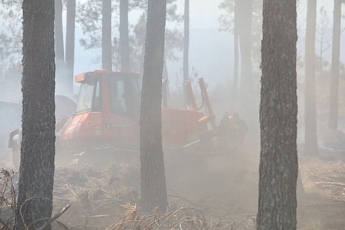 Mit schwerem Gerät wie dieser Planierraupe schlagen Brandbekämpfer Schneisen in die Wälder, um so die Flammen einzudämmen. - © Juanma Jiménez/EUROPA PRESS/dpa
