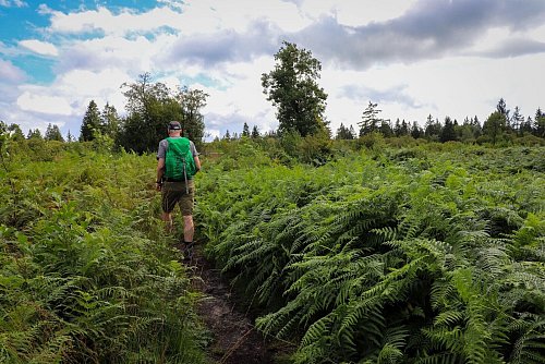 Das Hohe Venn ist ein Wanderparadies, aber auch Radwege gibt es. - © Deike Uhtenwoldt/dpa-tmn