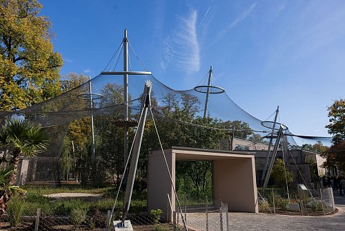 Zu dem neuen Affenhaus im Krefelder Zoo gehört auch ein neuer Außenbereich. (Archivbild) - © Rolf Vennenbernd/dpa