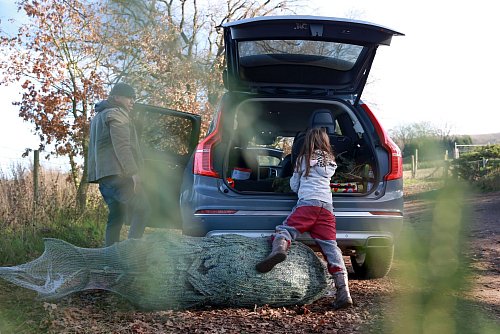 Ein Erlebnis für die ganze Familie: Den passenden Weihnachtsbaum fürs Wohnzimmer aussuchen. - © Mascha Brichta/dpa-tmn