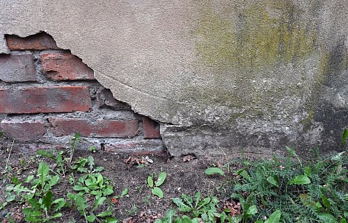 Ist die Mauer unten beschädigt, kann Feuchtigkeit ins Gemäuer eindringen. - © Andrea Warnecke/dpa-tmn