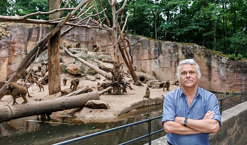 Dass die Tötung der Paviane im Gegensatz zu vielen anderen Zootieren für einen Aufschrei sorgt, ist nach Ansicht von Direktor Dag Encke eine emotionale Geschichte. - © Daniel Karmann/dpa
