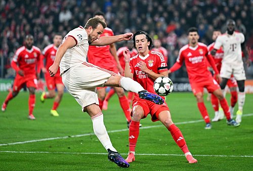 Bayern-Torjäger Harry Kane beim Schuss. - © Sven Hoppe/dpa