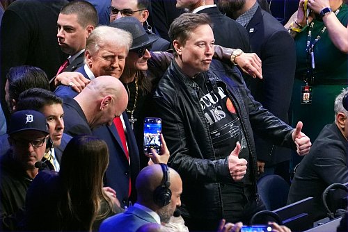 Trump und Musk bei Kampfsport-Spektakel in New York. - © Evan Vucci/AP/dpa