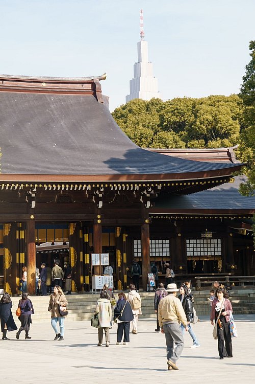 Der Meiji-Schrein liegt in einem zentralen Park in Shibuya und ist ein Ruhepol in der hektischen Stadt. - © Philipp Laage/dpa-tmn