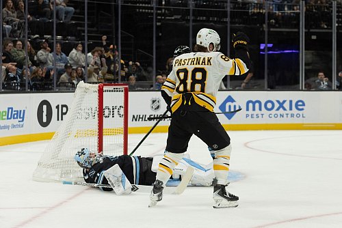 Zwei Tore von David Pastrnak waren für die Boston Bruins zu wenig. - © Melissa Majchrzak/AP/dpa