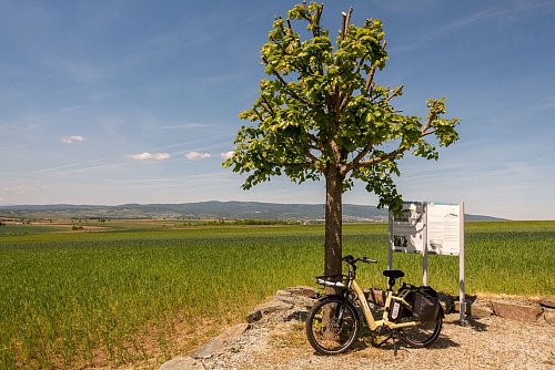 Die Steppe ganz nah: einsame Weiten nahe der Grenze zu Ungarn. - © Andreas Drouve/dpa-tmn