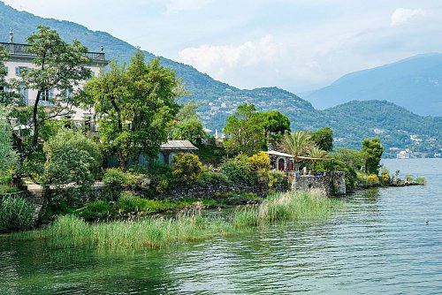 Üppiger Bewuchs: Auf den Brissago-Inseln ist es wa?rmer als am Ufer. - © Florian Sanktjohanser/dpa-tmn