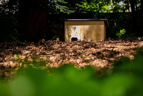 Ein Igelhaus an einem geschützten Platz kann den Tieren einen sicheren Unterschlupf bieten. - © Moritz Frankenberg/dpa/dpa-tmn