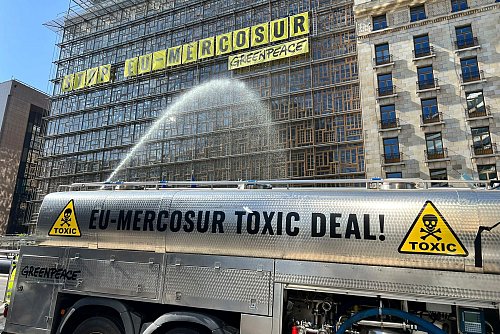 Umweltschutzorganisationen wie Greenpeace laufen gegen die Pläne für das Freihandelsabkommen seit Jahren Sturm. (Archivbild) - © Sylvain Plazy/AP/dpa