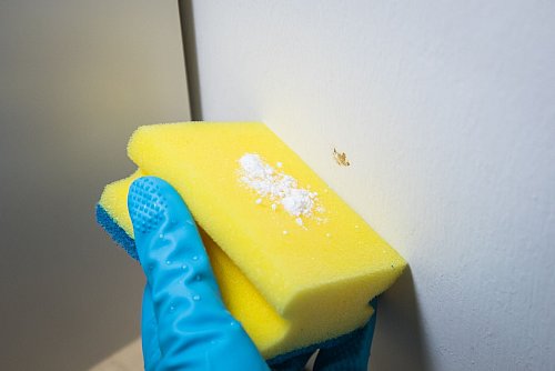 Mit dem Backpulver die schmutzigen Stellen an der Wand behandeln. - © Christin Klose/dpa-tmn